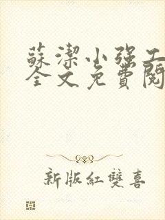 苏洁小强工地情全文免费阅读