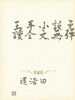 王平小说免费阅读全文无弹窗