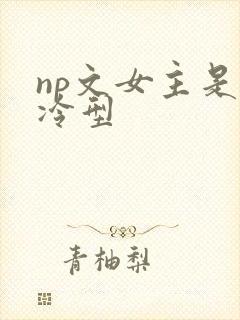 np文女主是清冷型