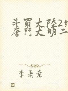 斗罗大陆2绝世唐门大明二明