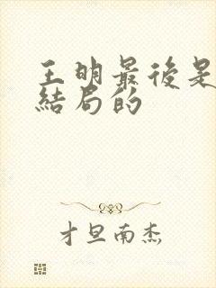 王明最后是什么结局的封面