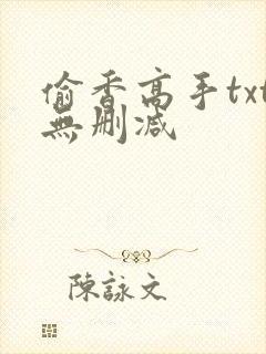 偷香高手txt无删减