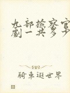 九部检察官电视剧一共多少集