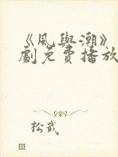 《风与潮》电视剧免费播放