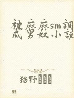 被麻麻sm调教成男奴小说封面