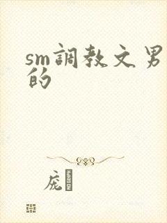sm调教文男男的
