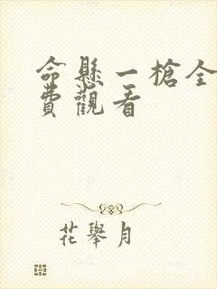 命悬一枪全集免费观看