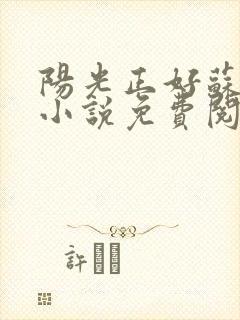 阳光正好苏玥玥小说免费阅读