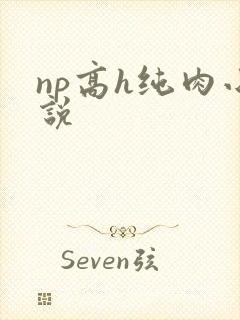 np高h纯肉小说
