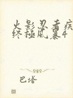 火影忍者疾风传终极风暴4