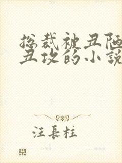 总裁被丑陋老肥丑攻的小说