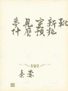 梦见穿新靴子是什么预兆