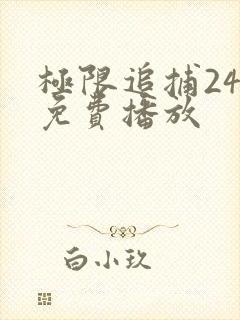 极限追捕24集免费播放