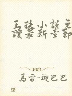 王扶小说免费阅读最新章节无弹窗