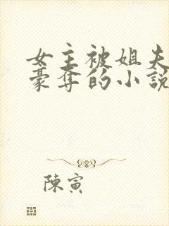 女主被姐夫强取豪夺的小说