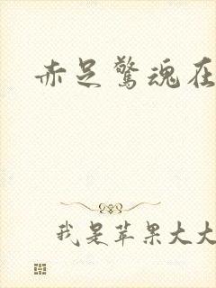 赤足惊魂在哪看