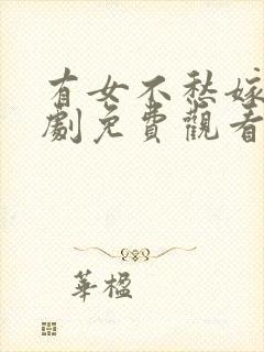 有女不愁嫁电视剧免费观看封面