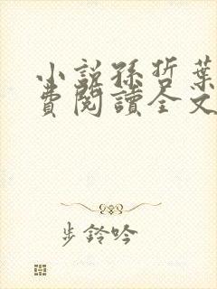 小说孙哲叶巧免费阅读全文