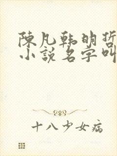 陈凡韩明哲替身小说名字叫什么来着