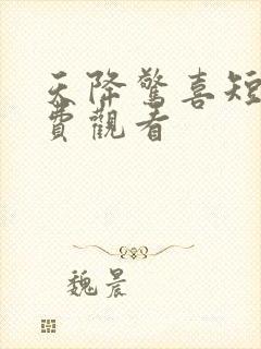 天降惊喜短剧免费观看