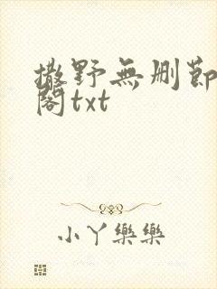 撒野无删节笔趣阁txt封面
