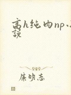 高h纯肉np小说