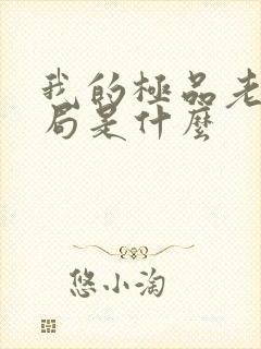 我的极品老婆结局是什么