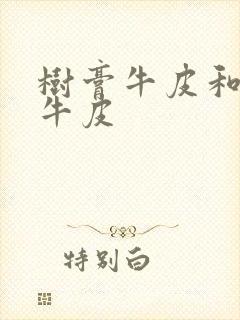 树膏牛皮和植鞣牛皮