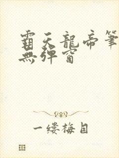 霸天龙帝笔趣阁无弹窗