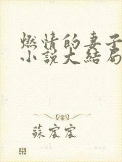 燃情的妻子方雪小说大结局