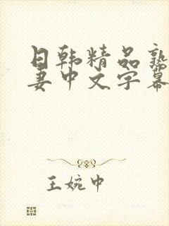 日韩精品熟女人妻中文字幕不卡视频