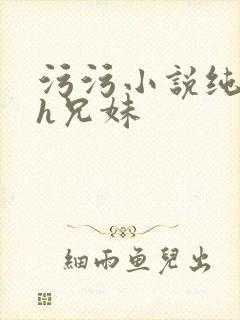 污污小说纯肉高h兄妹封面