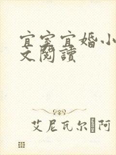 宜室宜婚小说全文阅读封面