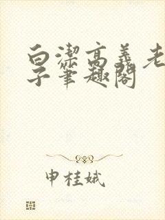 白洁高义老七东子笔趣阁封面