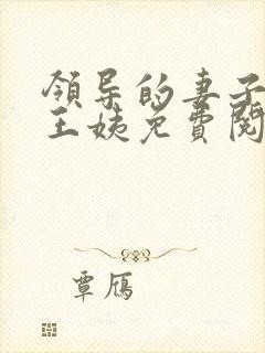 领导的妻子小说王姨免费阅读全文