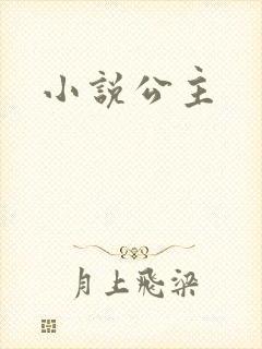 小说公主