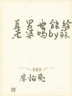 直男也能给人当老婆吗by苏晨笔趣阁