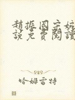 赵振国宋婉清小说免费阅读全文最新章节封面