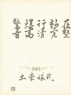 惊爆行动在线观看高清完整版免费