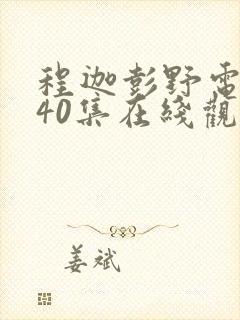 程迦彭野电视剧40集在线观看封面