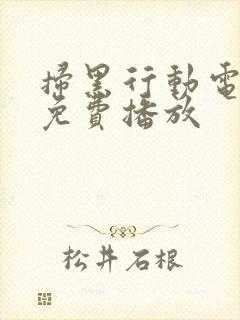 扫黑行动电视剧免费播放封面