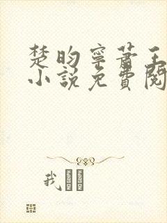 楚昀宁萧王穿越小说免费阅读无弹窗