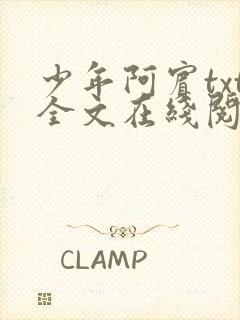 少年阿宾txt全文在线阅读