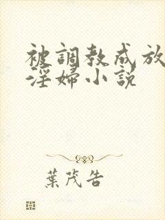 被调教成放荡小淫妇小说封面