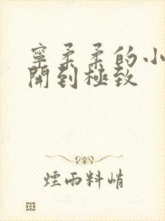 宁柔柔的小泬撑开到极致