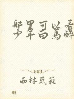 哪里可以看全集少年白马醉春风