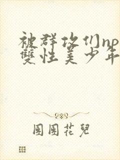 被群攻们np肉双性美少年小说