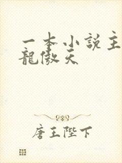 一本小说主角叫龙傲天封面