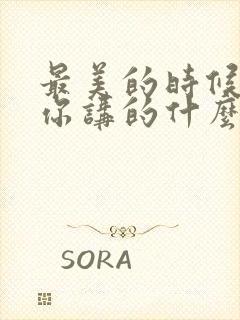 最美的时候遇见你讲的什么