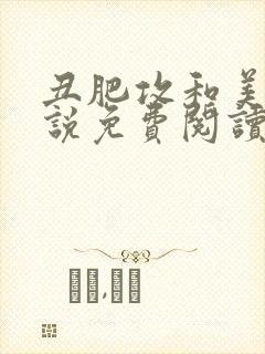 丑肥攻和美人小说免费阅读